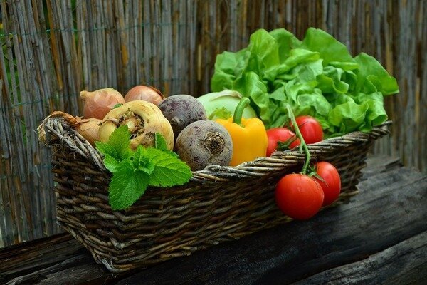 Las verduras de temporada son más saludables (Foto: Pixabay.com)