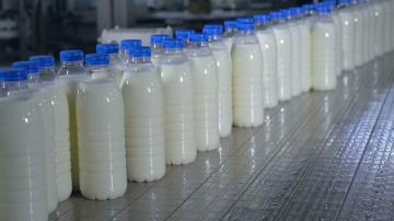 Lo que realmente hace la leche? Le dice cómo distinguir una falsificación