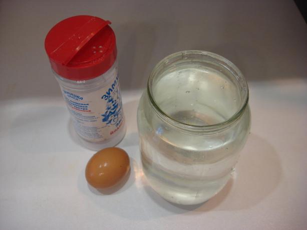 Foto del autor (sal, un cántaro de agua, huevo, desplazamiento hacia la derecha)