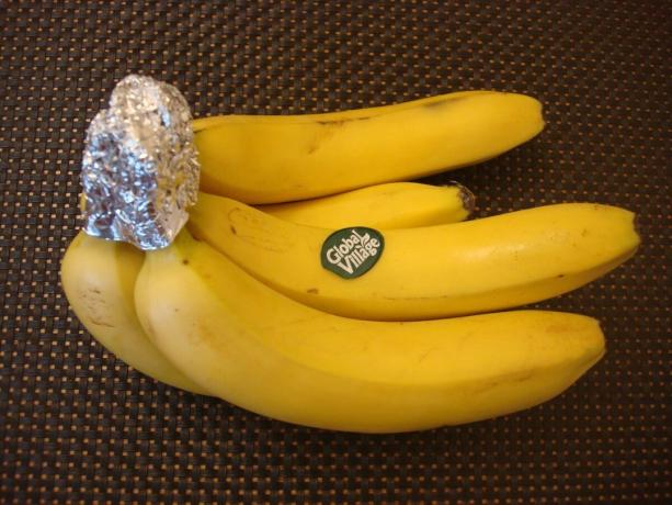 Imagen tomada por el autor (porque los plátanos se pueden almacenar durante mucho más tiempo)
