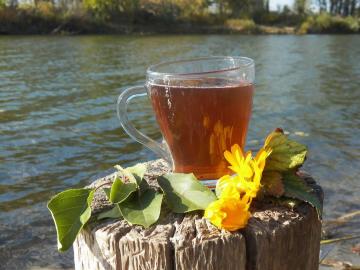 Un delicioso té de hierbas para la salud y la vitalidad