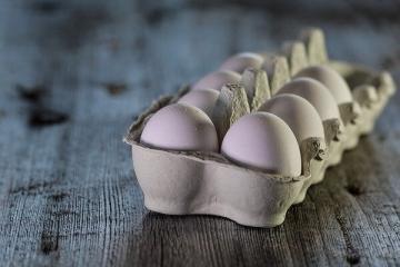 Los científicos han dicho por qué no debes comer muchos huevos