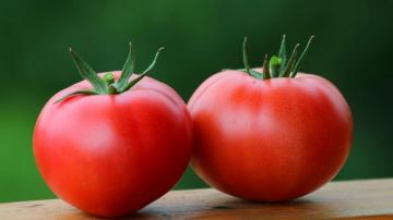 Tomates: diluir la sangre, la hipertensión, la diabetes cura, e incluso la oncología