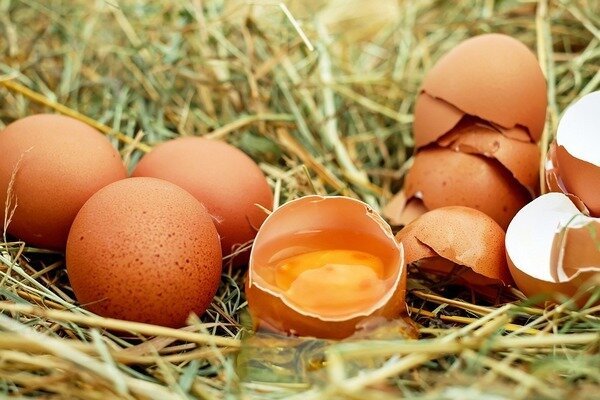Los huevos no se deben comer frescos, ya que esto amenaza la aparición de parásitos en el cuerpo (Foto: Pixabay.com)