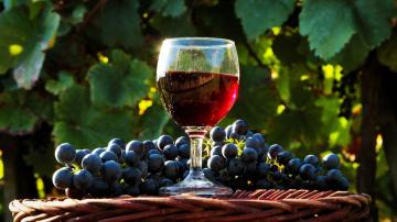 Lo que es bueno para la salud de vino tinto