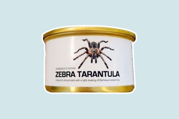 ¿Probarías una tarántula seca? (Foto: Amazon.com)