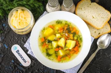 Sopa de verduras con caldo de pollo