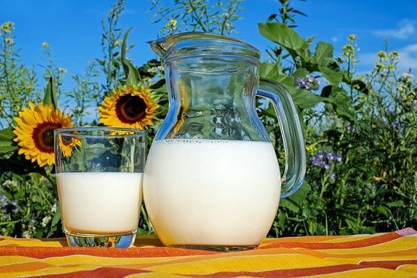 Mejor comprar leche de granjas privadas (Foto: pixabay.com)