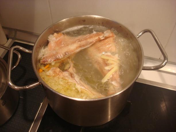 Imagen tomada por el autor (pescado complemento, patatas, cebollas y zanahorias en la sopa)