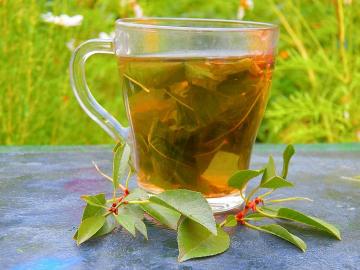 La vitamina té de las hojas de cerezo para promover la salud
