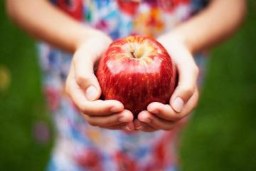Manzanas tratar: cálculos renales, venas varicosas, ataque al corazón, etc.