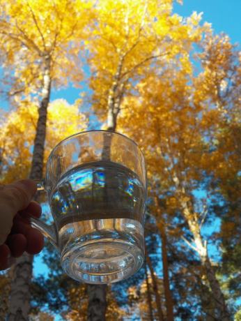 agua de limón