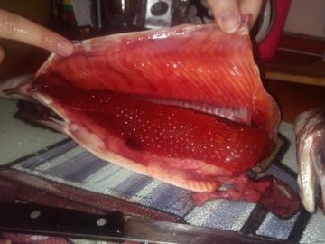 Cómo determinar el salmón rosado con caviar en la tienda. Mi forma de trabajar