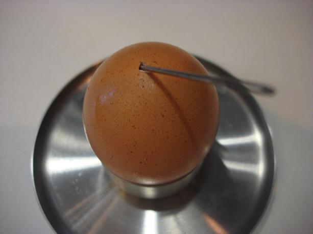 Foto del autor (huevo perforado con una aguja, desplazarse a la derecha)