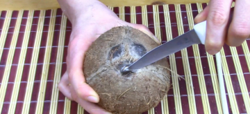 Qué fácil es abrir un coco en casa. Y cómo elegir un buen coco.