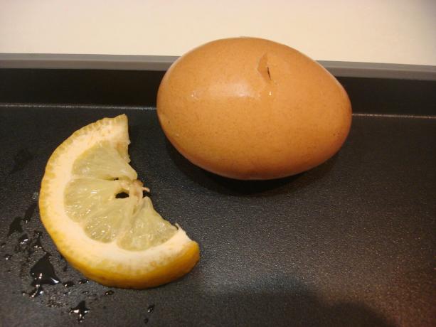 Imagen tomada por el autor (limón, clara de huevo)