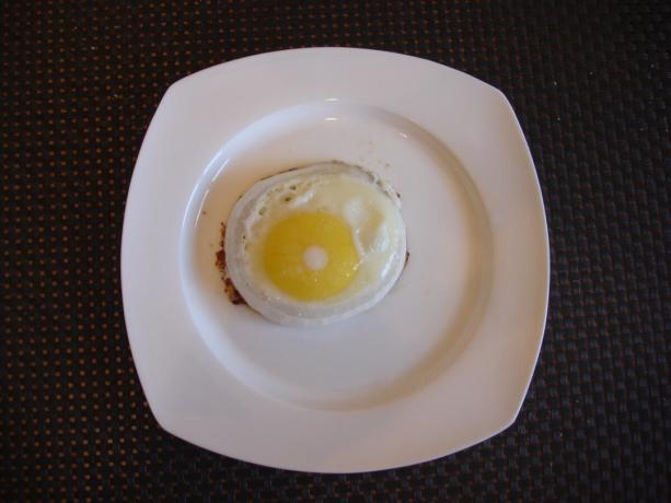 Imagen tomada por el autor (un huevo en un plato)