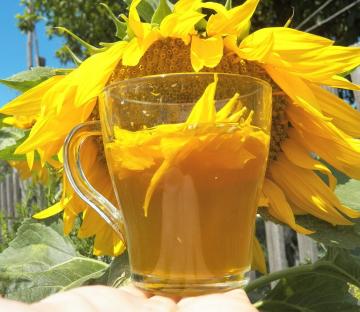 Sunflower bebida, aumenta el apetito