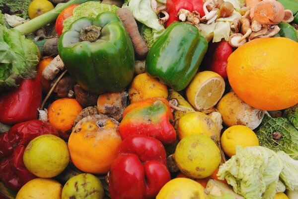 Las frutas y verduras podridas no son la mejor opción para unir (Foto: nycfoodpolicy.org).