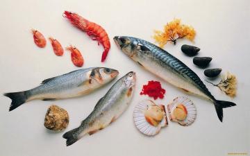 Cómo cocinar los mariscos y peces de agua salada?
