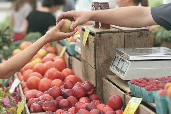 Intente comprar productos de temporada: mandarinas, manzanas, piña (Foto: Pixabay.com)