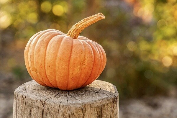 La calabaza se puede usar para hacer docenas de platos que a los niños también les encantarán (Foto: Pixabay.com).