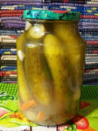 Pickles en invierno sin vinagre y ácido cítrico