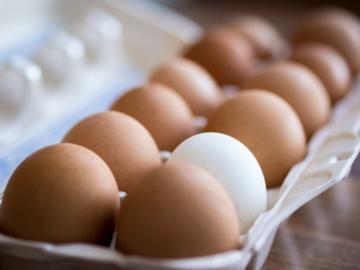 Cómo comprobar: fresco huevo o en mal estado?