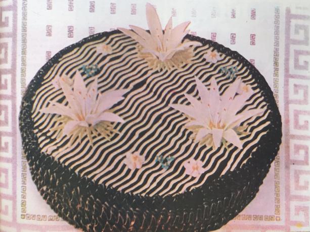 torta "Slavutich". Foto del libro "La producción de pasteles y tartas," 1976
