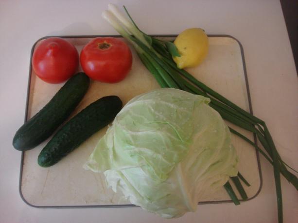 Imagen tomada por el autor (los principales ingredientes de la ensalada de verduras)